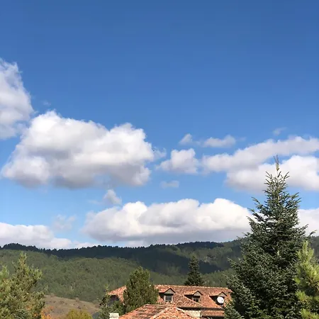 Janko בית הארחה