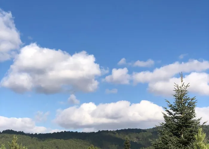 Janko בית הארחה