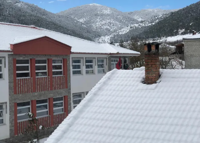 בית הארחה Janko 3*